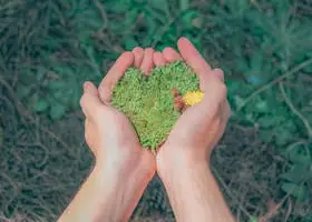 Hands in a natural setting holding heart-shaped moss, symbolizing love for nature.